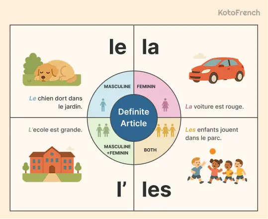 Definite articles in French 1