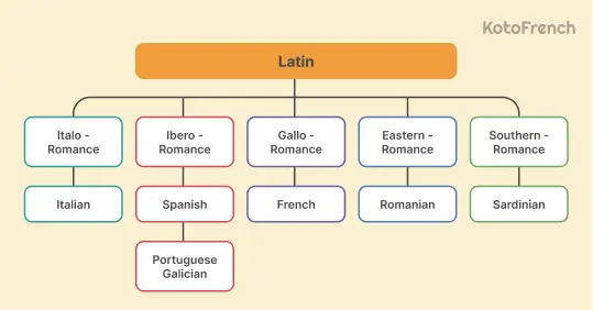 Romance language family 1