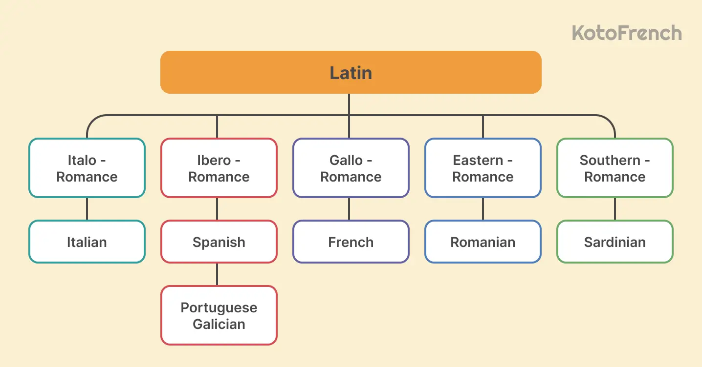 Romance language family